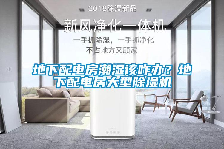 地下配電房潮濕該咋辦？地下配電房大型除濕機(jī)