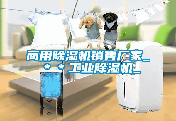 商用除濕機(jī)銷售廠家_＊＊工業(yè)除濕機(jī)_