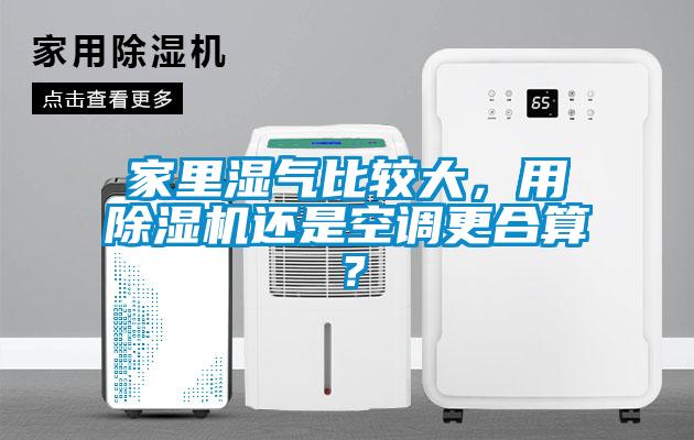 家里濕氣比較大，用除濕機還是空調更合算？