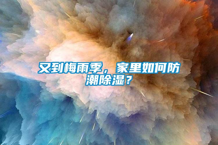 又到梅雨季，家里如何防潮除濕？