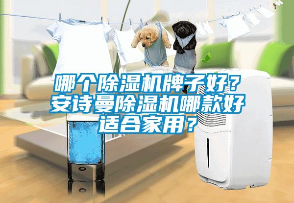 哪個除濕機牌子好？安詩曼除濕機哪款好適合家用？