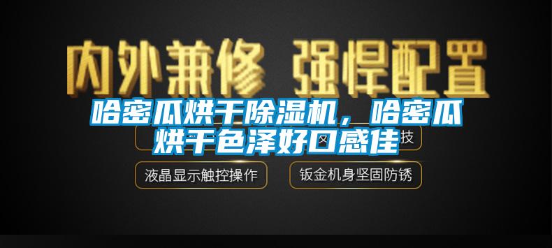 哈密瓜烘干除濕機，哈密瓜烘干色澤好口感佳