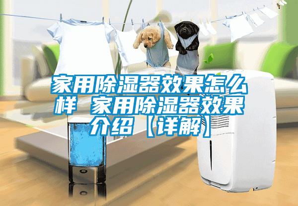 家用除濕器效果怎么樣 家用除濕器效果介紹【詳解】