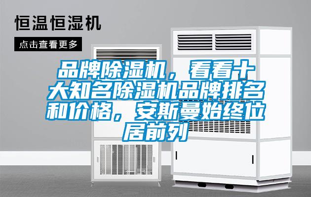 品牌除濕機，看看十大知名除濕機品牌排名和價格，安斯曼始終位居前列