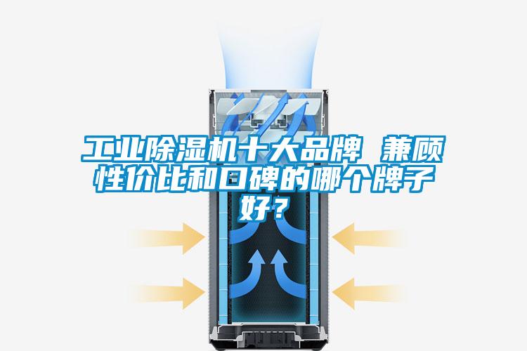 工業(yè)除濕機(jī)十大品牌 兼顧性?xún)r(jià)比和口碑的哪個(gè)牌子好？