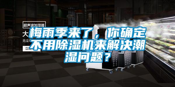 梅雨季來了，你確定不用除濕機來解決潮濕問題？