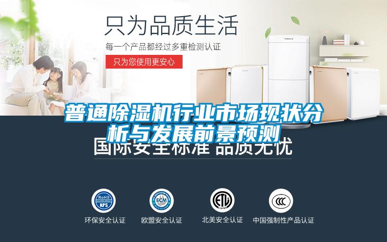 普通除濕機行業(yè)市場現狀分析與發(fā)展前景預測