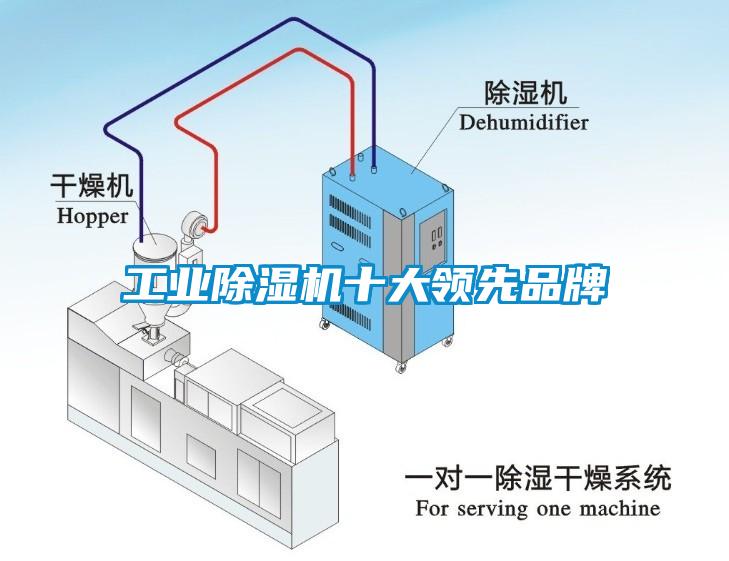 工業(yè)除濕機十大領先品牌