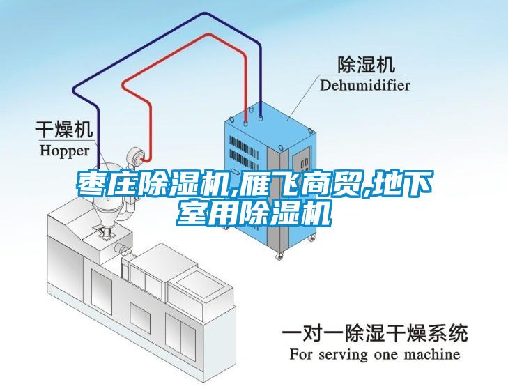 棗莊除濕機(jī),雁飛商貿(mào),地下室用除濕機(jī)