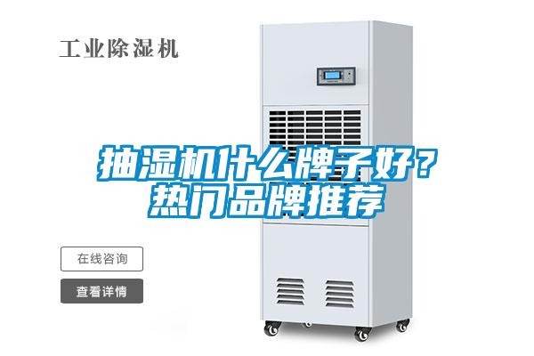 抽濕機(jī)什么牌子好？熱門品牌推薦