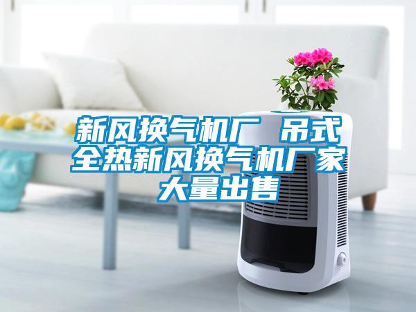 新風(fēng)換氣機廠 吊式全熱新風(fēng)換氣機廠家 大量出售