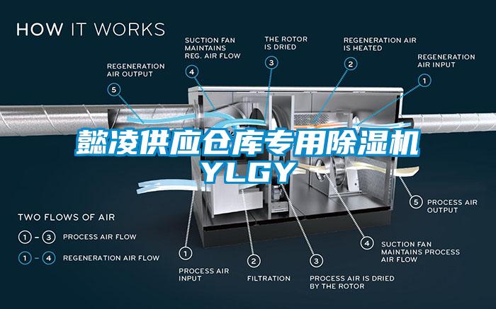 懿凌供應(yīng)倉(cāng)庫(kù)專用除濕機(jī)YLGY