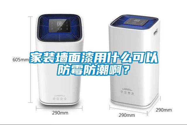 家裝墻面漆用什么可以防霉防潮啊？