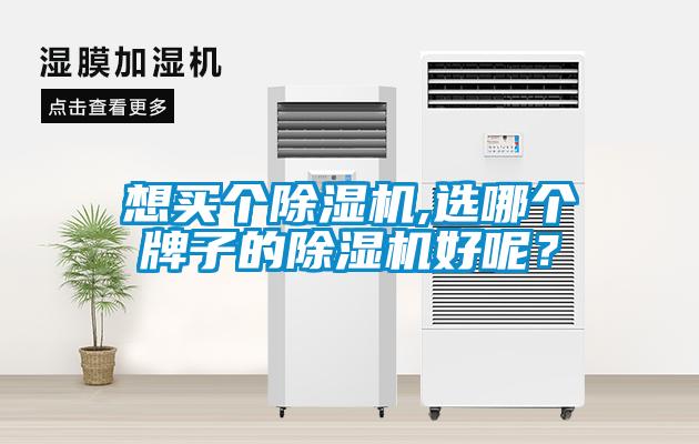 想買(mǎi)個(gè)除濕機(jī),選哪個(gè)牌子的除濕機(jī)好呢？