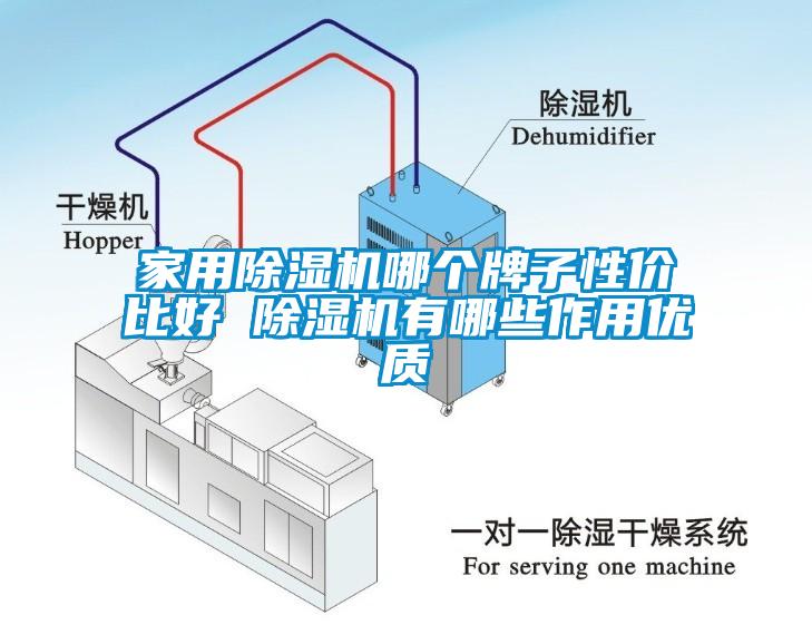 家用除濕機哪個牌子性價比好 除濕機有哪些作用優(yōu)質(zhì)