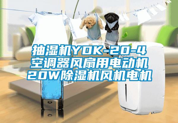 抽濕機YDK-20-4空調器風扇用電動機20W除濕機風機電機