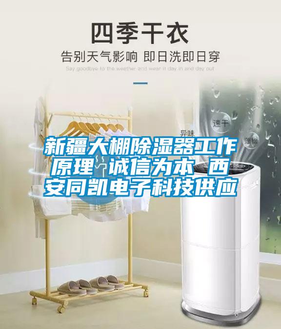 新疆大棚除濕器工作原理 誠信為本 西安同凱電子科技供應(yīng)