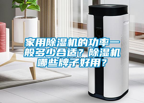 家用除濕機的功率一般多少合適？除濕機哪些牌子好用？