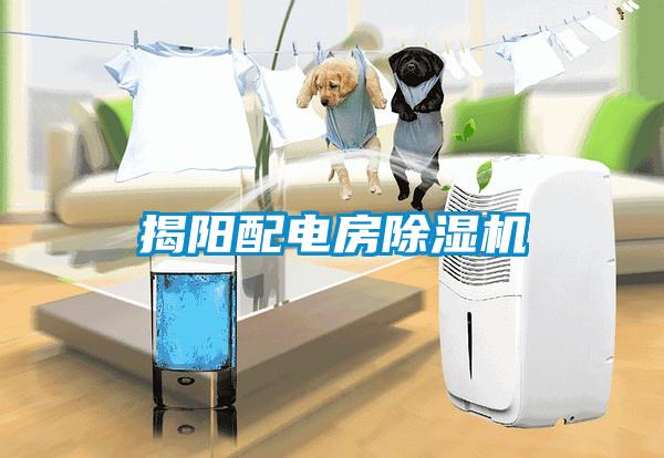 揭陽配電房除濕機(jī)