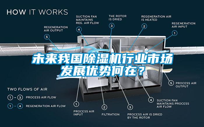 未來我國除濕機行業(yè)市場發(fā)展優(yōu)勢何在？