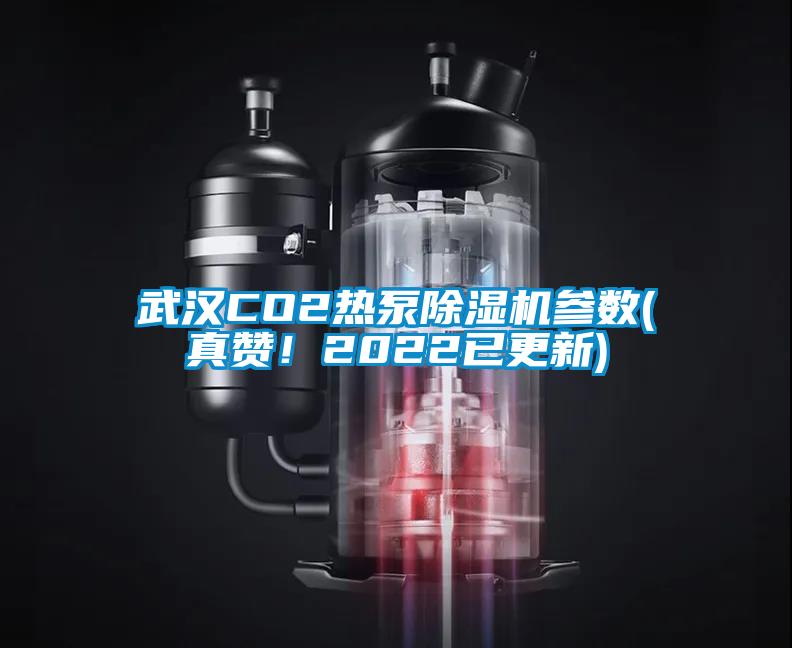 武漢CO2熱泵除濕機(jī)參數(shù)(真贊！2022已更新)