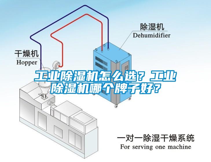 工業(yè)除濕機(jī)怎么選？工業(yè)除濕機(jī)哪個牌子好？