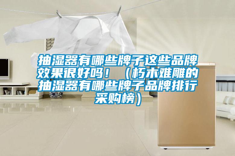 抽濕器有哪些牌子這些品牌效果很好嗎?。ㄐ嗄倦y雕的抽濕器有哪些牌子品牌排行采購榜）