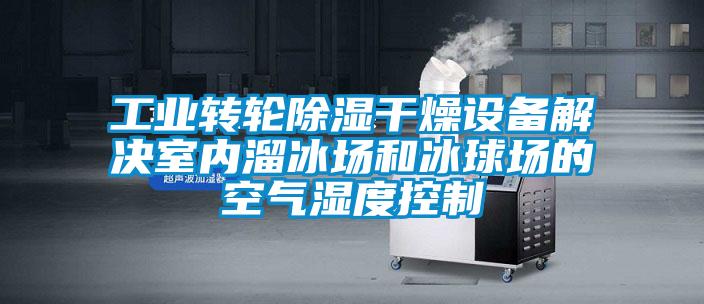 工業(yè)轉輪除濕干燥設備解決室內溜冰場和冰球場的空氣濕度控制