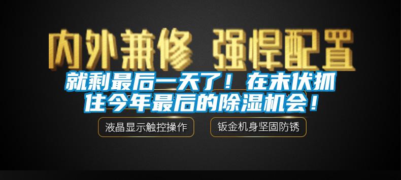 就剩最后一天了！在末伏抓住今年最后的除濕機(jī)會(huì)！