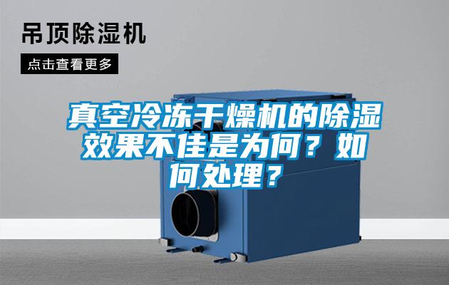 真空冷凍干燥機的除濕效果不佳是為何？如何處理？