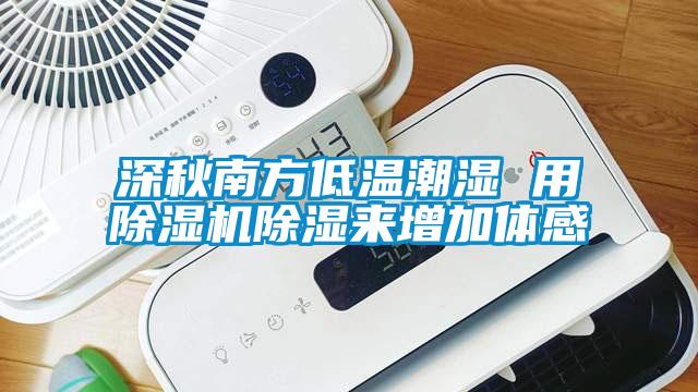 深秋南方低溫潮濕 用除濕機除濕來增加體感