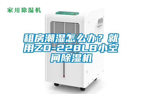 租房潮濕怎么辦？就用ZD-228LB小空間除濕機(jī)