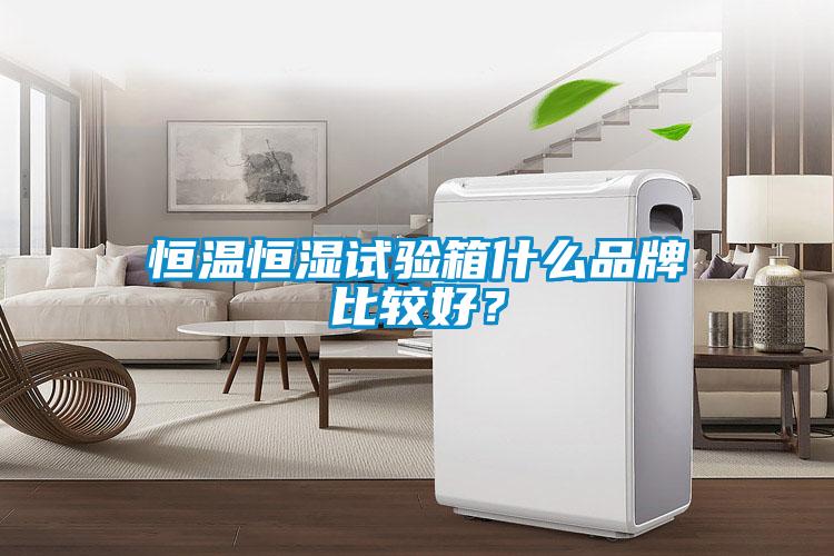 恒溫恒濕試驗(yàn)箱什么品牌比較好？