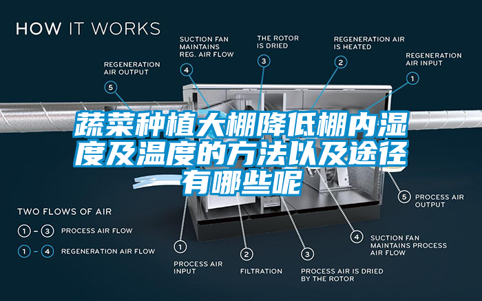 蔬菜種植大棚降低棚內(nèi)濕度及溫度的方法以及途徑有哪些呢