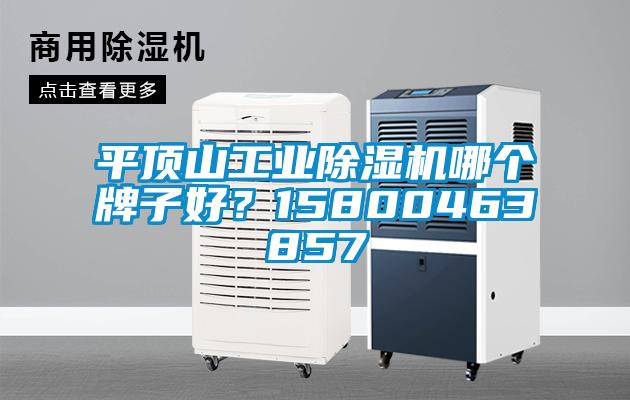 平頂山工業(yè)除濕機哪個牌子好？15800463857