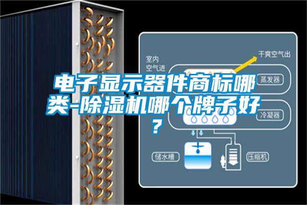 電子顯示器件商標哪類-除濕機哪個牌子好？