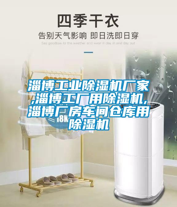 淄博工業(yè)除濕機(jī)廠家,淄博工廠用除濕機(jī),淄博廠房車(chē)間倉(cāng)庫(kù)用除濕機(jī)