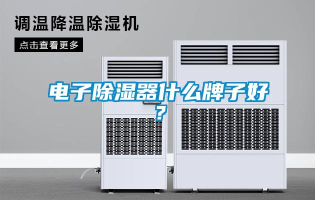 電子除濕器什么牌子好？