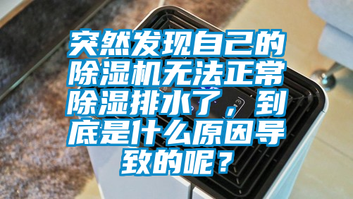 突然發(fā)現(xiàn)自己的除濕機無法正常除濕排水了，到底是什么原因?qū)е碌哪兀?></div>
								<div   id=