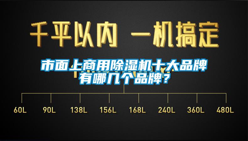 市面上商用除濕機十大品牌有哪幾個品牌？