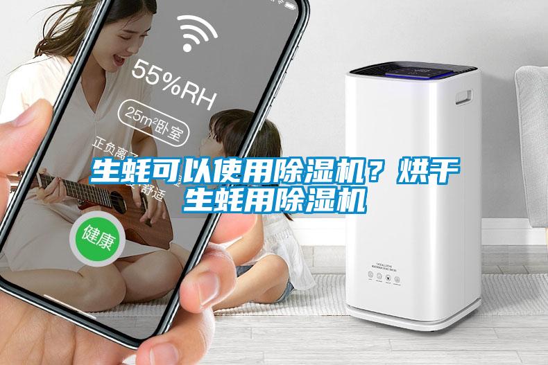 生蠔可以使用除濕機？烘干生蠔用除濕機