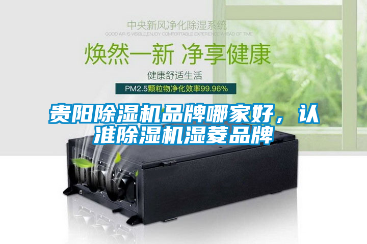 貴陽除濕機品牌哪家好，認準除濕機濕菱品牌