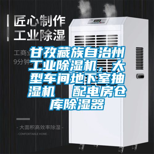 甘孜藏族自治州工業(yè)除濕機，大型車間地下室抽濕機  配電房倉庫除濕器