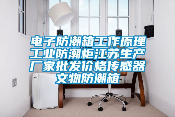 電子防潮箱工作原理工業(yè)防潮柜江蘇生產廠家批發(fā)價格傳感器文物防潮箱