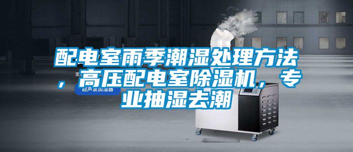 配電室雨季潮濕處理方法，高壓配電室除濕機(jī)，專業(yè)抽濕去潮