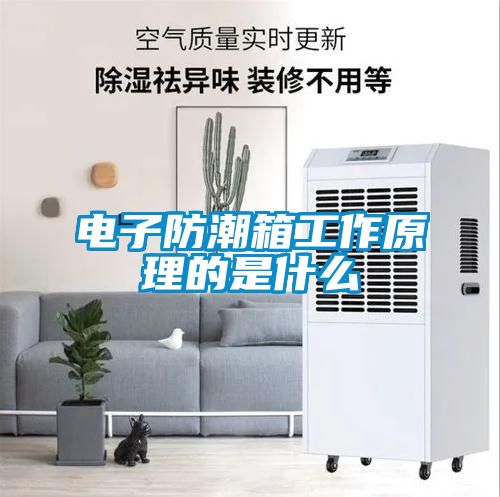 電子防潮箱工作原理的是什么