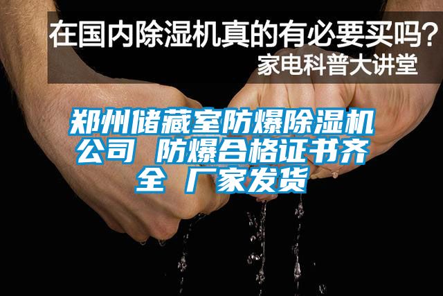 鄭州儲藏室防爆除濕機公司 防爆合格證書齊全 廠家發(fā)貨