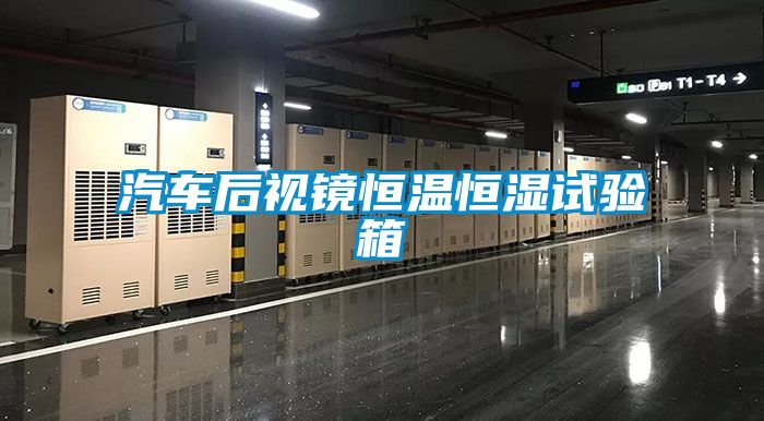 汽車后視鏡恒溫恒濕試驗(yàn)箱