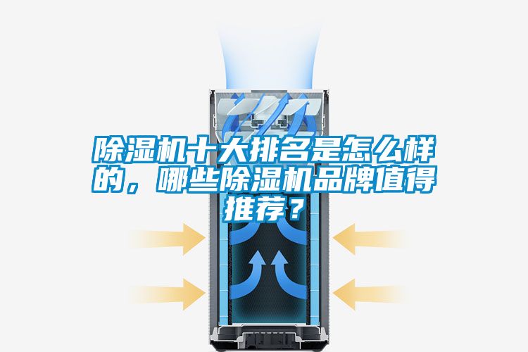 除濕機十大排名是怎么樣的，哪些除濕機品牌值得推薦？