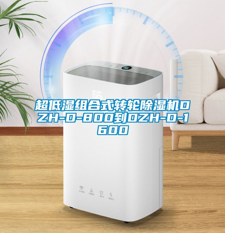 超低濕組合式轉(zhuǎn)輪除濕機DZH-D-800到DZH-D-1600